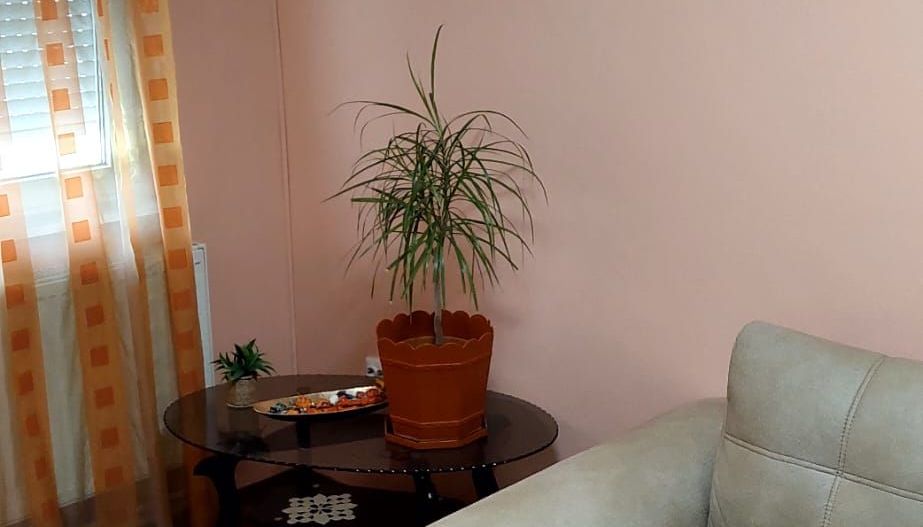 De inchiriat apartament 2 camere in micro 17, etaj 3, 350 euro - Poză 2