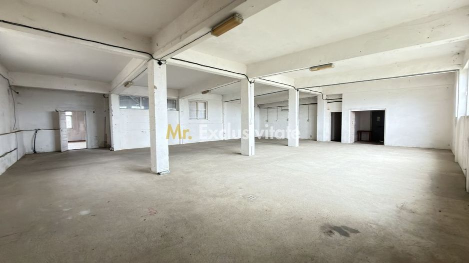 Inchiriere Clădire Producție, Depozitare 278 mp -Teren 1380 mp - Carei - Poză 3