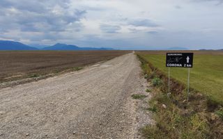 Carpinis, 10000mp-arabil, 28000Euro/negociabil - Poză 1