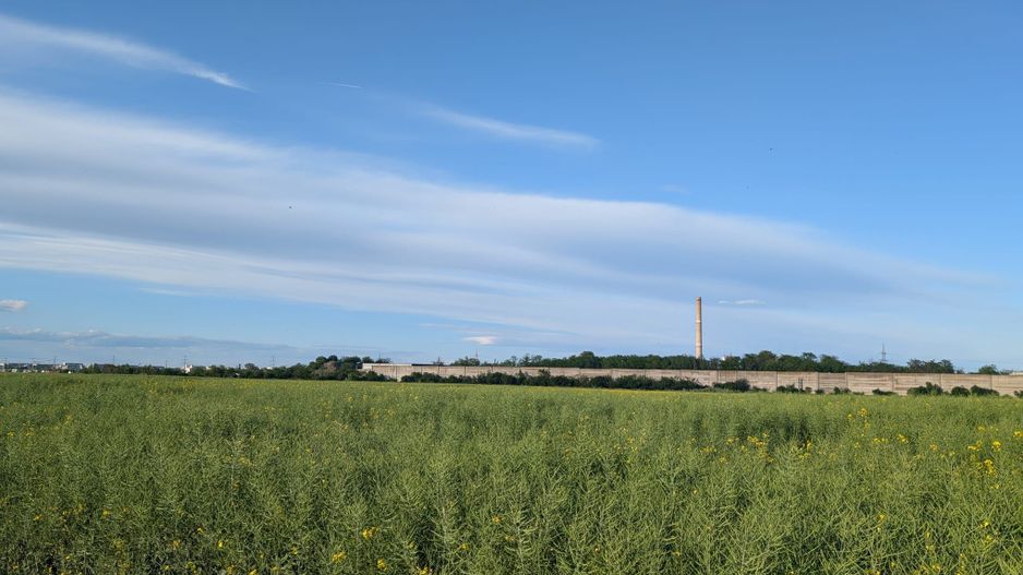 Teren de vanzare Domnești - Str. Narciselor - 20312mp - Poză 4