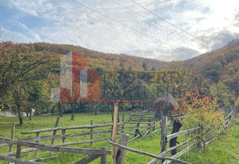 Casa + teren 1700 mp langa Padure Bran/ Predelut - Poză 14