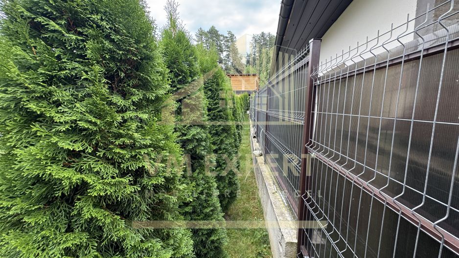 CASĂ 3 CAMERE 111MP, TEREN 923 MP BUGHEA DE JOS ARGEȘ - Poză 63