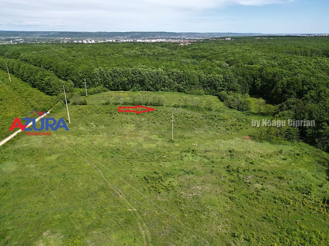Vanzare teren Balotesti, la padure - Poză 2