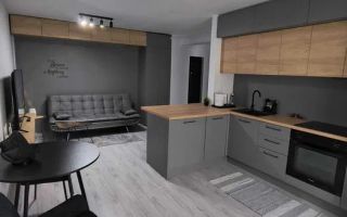 2 Camere Premium, Ego Residence, Corneliu Coposu, Parcare, Lombului - Poză 1