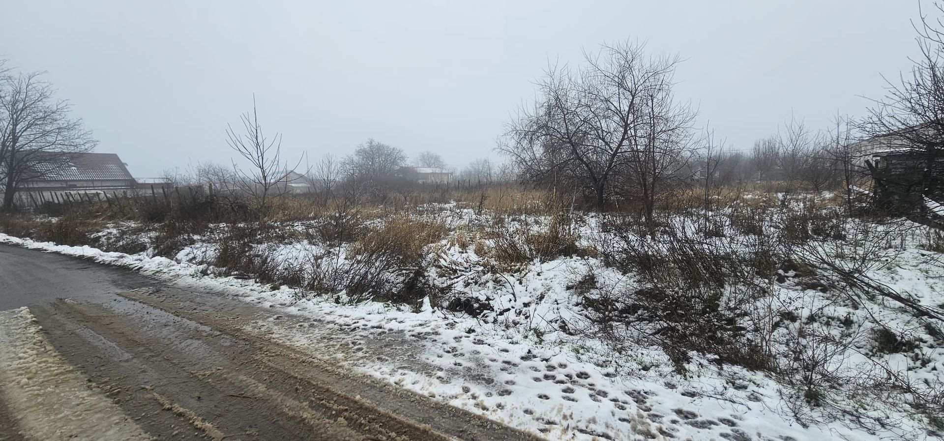 Exclusivitate MAG Invest – Teren 2300 mp Vanatori, ideal investitie - Poză 4