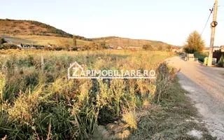 De vanzare 2 terenuri de 29.500 mp si 1.400 mp.29 euro mp - Poză 12