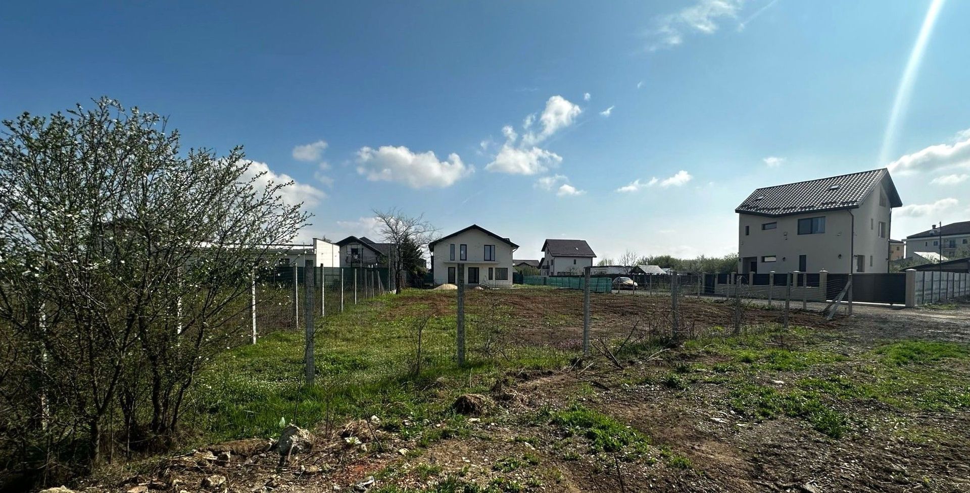 Teren Intravilan 533mp Mogoșoaia-Chitila - Poză 10