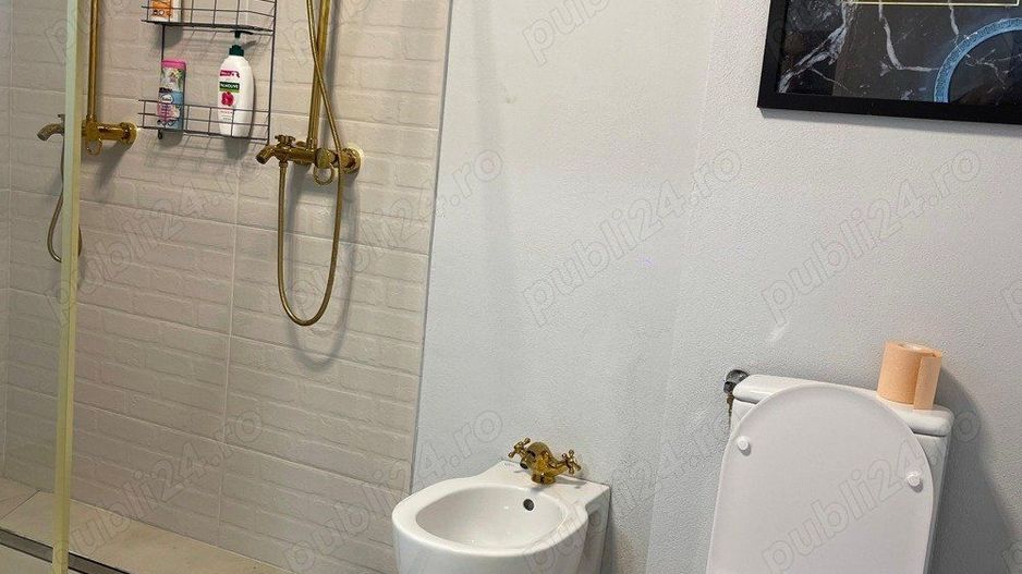 Apart Hotel Zona Piata Romana - Poză 4