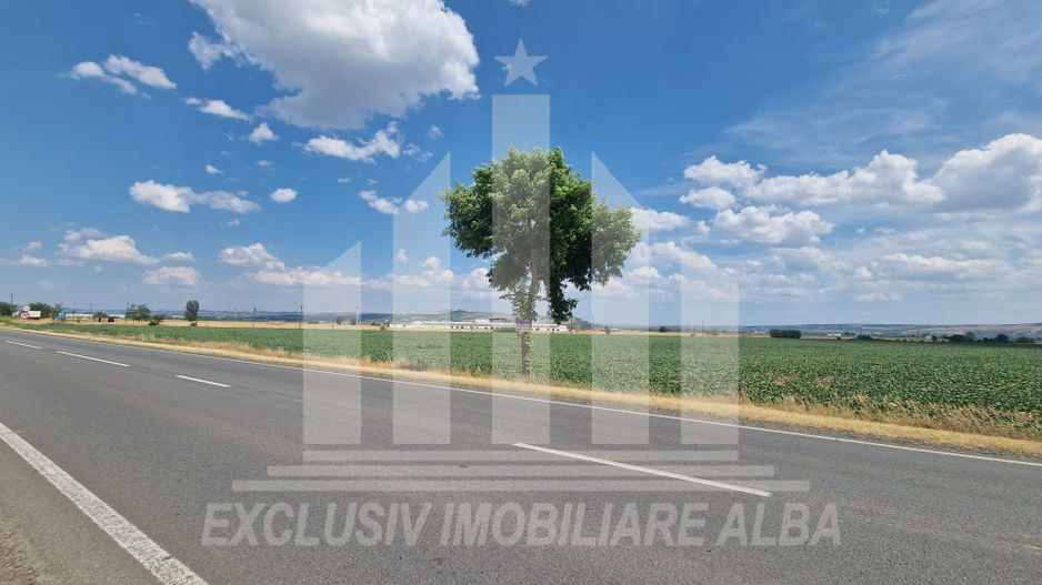 Teren agricol la sosea, pretabil si ptr constructii industriale - Poză 8