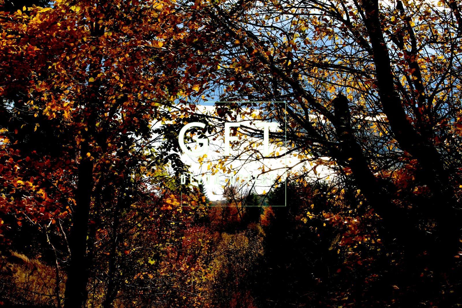 Teren intravilan de vanzare - Colibita - Poză 6