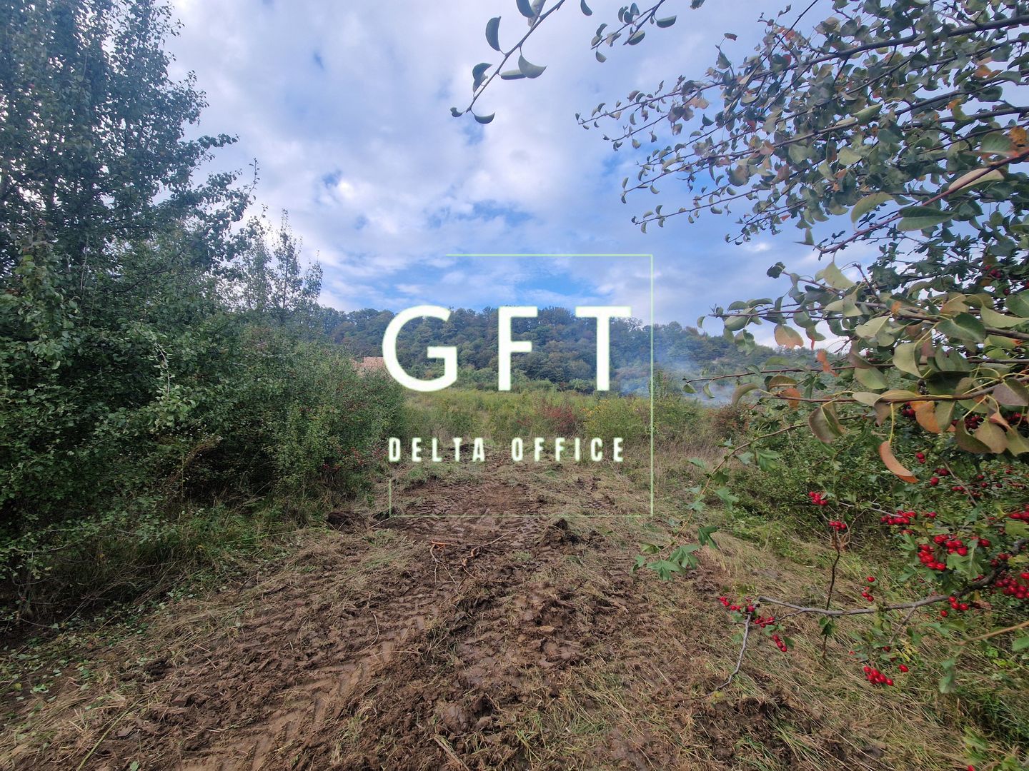 Teren de vanzare Jelna | 40 ari | Extravilan - Poză 4