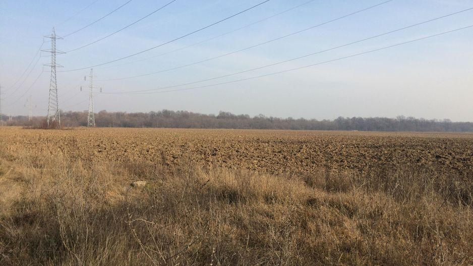 teren Cernica sat Caldararu - Poză 4