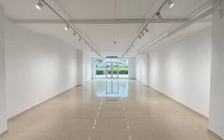 Chirie, spațiu comercial 102 mp,  str. Ioana Radu, Buicani - Poză 3