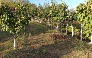 Teren intravilan 730 mp-livada-vedere panoramica-Valea Sigmirului - Poză 4