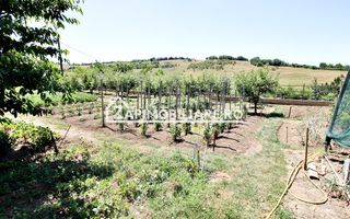Teren intravilan 1.300 mp.zona Belvedere Targu Mures - Poză 2