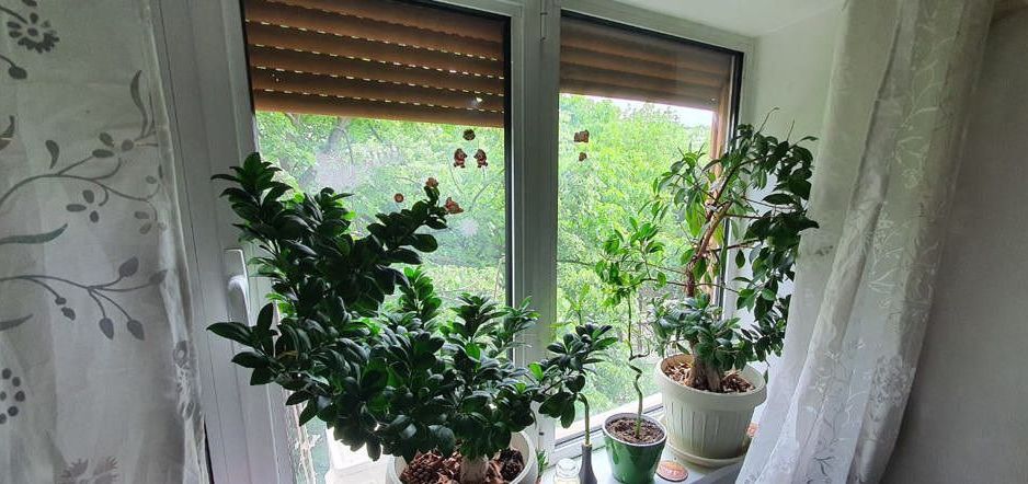 Apartament modern 2 CAMERE | HANUL DRUMETULUI | DRUMUL TABEREI - Poză 8