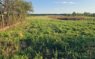 Teren intravilan Apateu 4100 mp - Poză 7