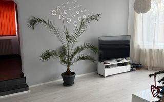 Vila deosebita Kamsas-Baba Novac (COD 08) - Poză 3