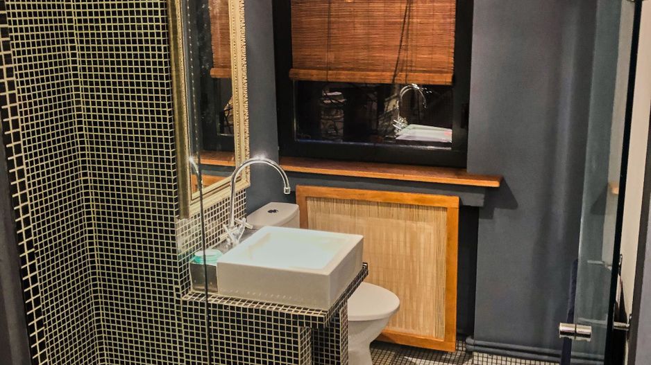 Apartament 2 Camere Lacul Cismigiu - Poză 9