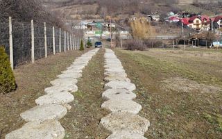 Teren intravilan și extravilan în Răducăneni, jud. Iași, zona Dealul Doi Lei - Poză 6