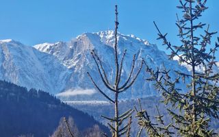 Casa de vacanta la liziera padurii cu vedere libera catre muntii Bucegi - Poză 15