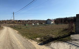 Teren intravilan 700 mp cu utilități în Paleu - Poză 4