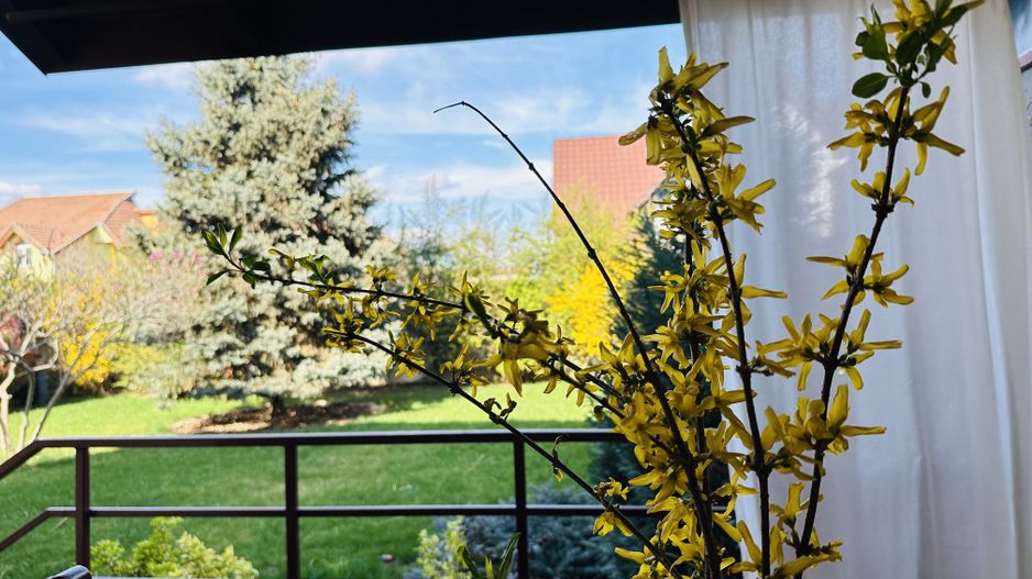 Oferta Inchiriata - Casa Segmentul Premium, 180 mp | Garaj&Gradina | Fropin - Poză 38