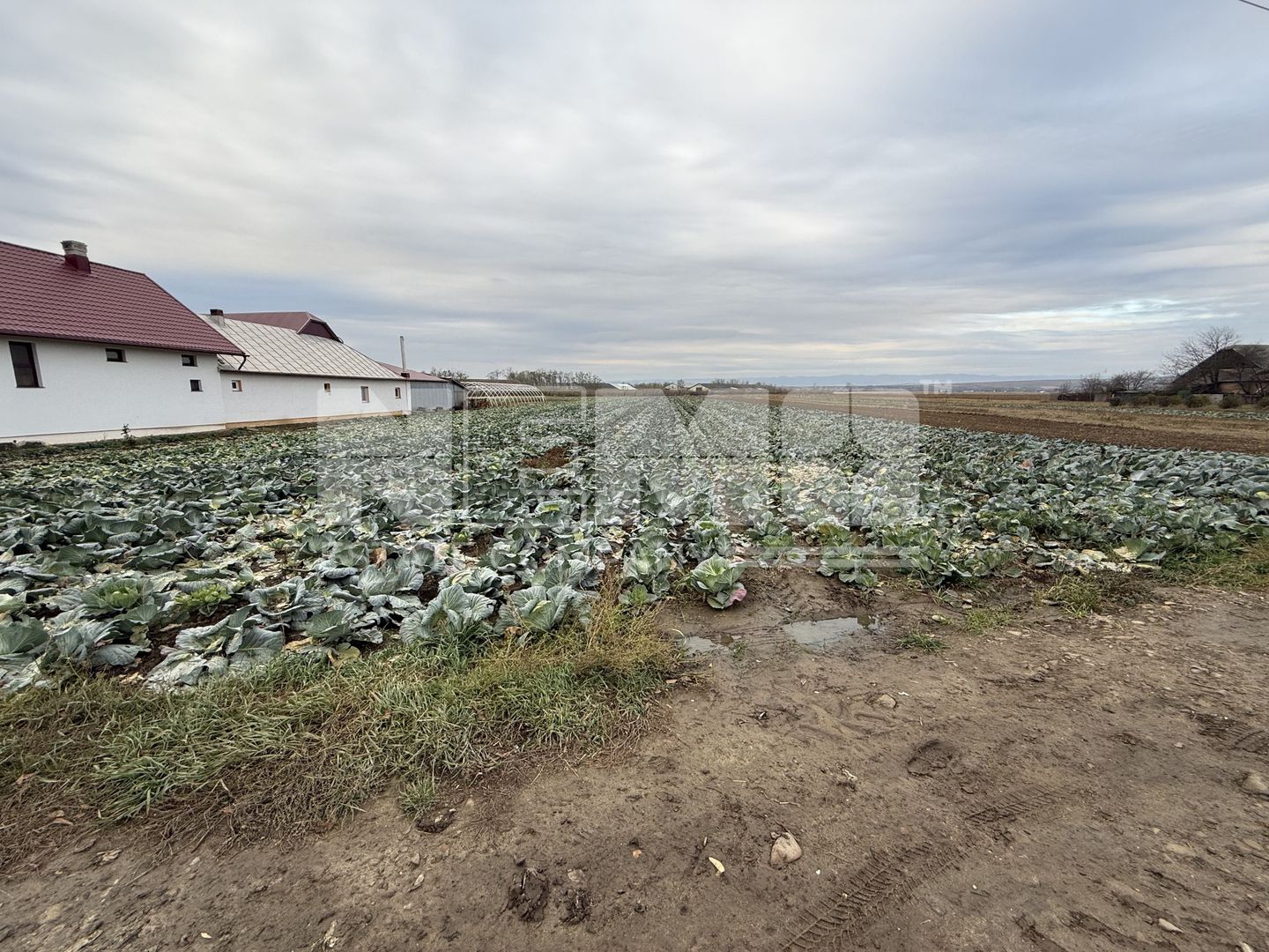 Teren 9.000 mp | Milișăuți | Intravilan | Front 38 m | 149.000 € - Poză 1