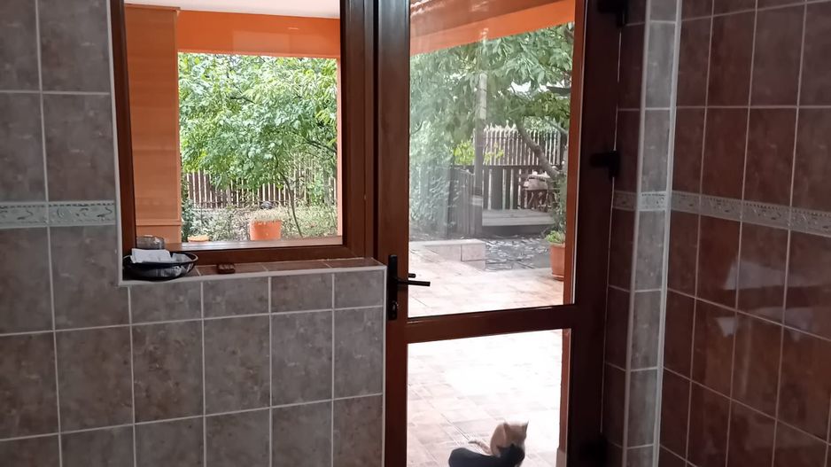 Casă Spațioasă P+1+M, 265 mp Utili, 1000 mp Teren – Toate Utilitățile, Vânători - Poză 13