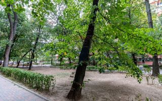 Ap cu 2 camere 49 mp - Piata Muncii - mobilat/utilat! - Poză 13