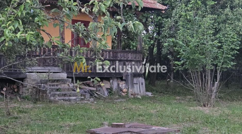 Casă cu 7.769 mp teren și pădure | Budieni | 53.000€ - Poză 6