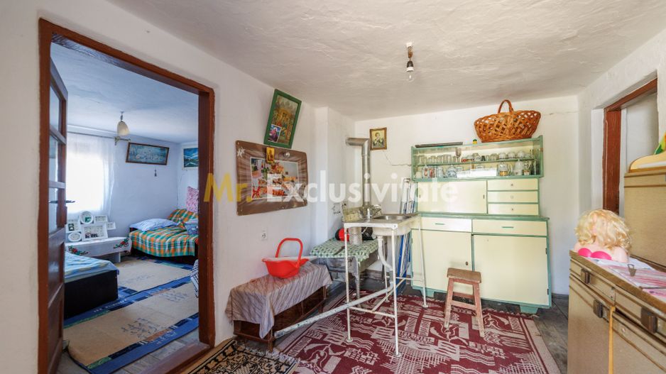CASA SI GOSPODARIE DE VANZARE – SPINENI, OLT | 4.000 MP TEREN - Poză 10