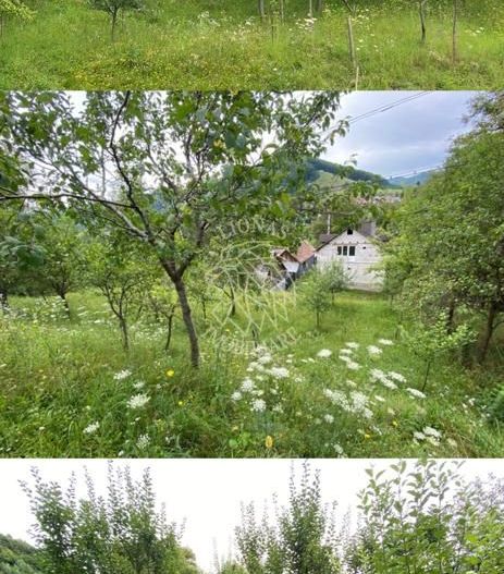 Casa 4 camere-teren/livada 1250 mp-pretabil locuire-Nepos - Poză 2