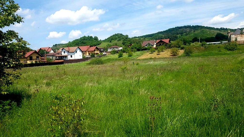 Teren intravilan 5.700 mp in Corunca,zona castelului,34 eu/mp - Poză 5