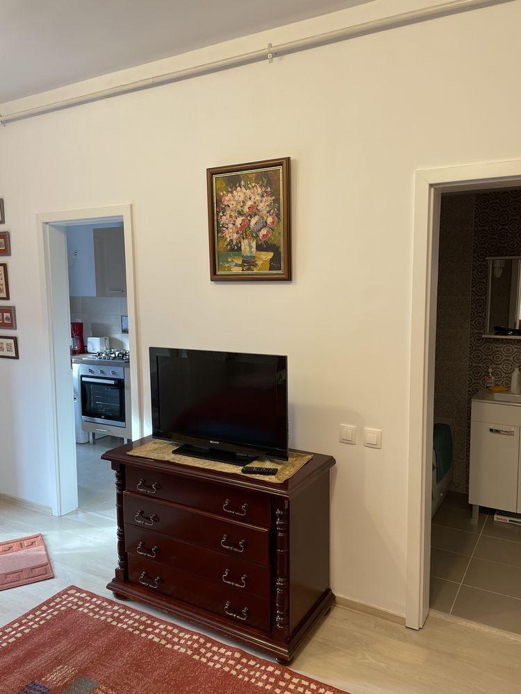 Garsoniera  Matei Basarab/Calea Călărașilor - Poză 2