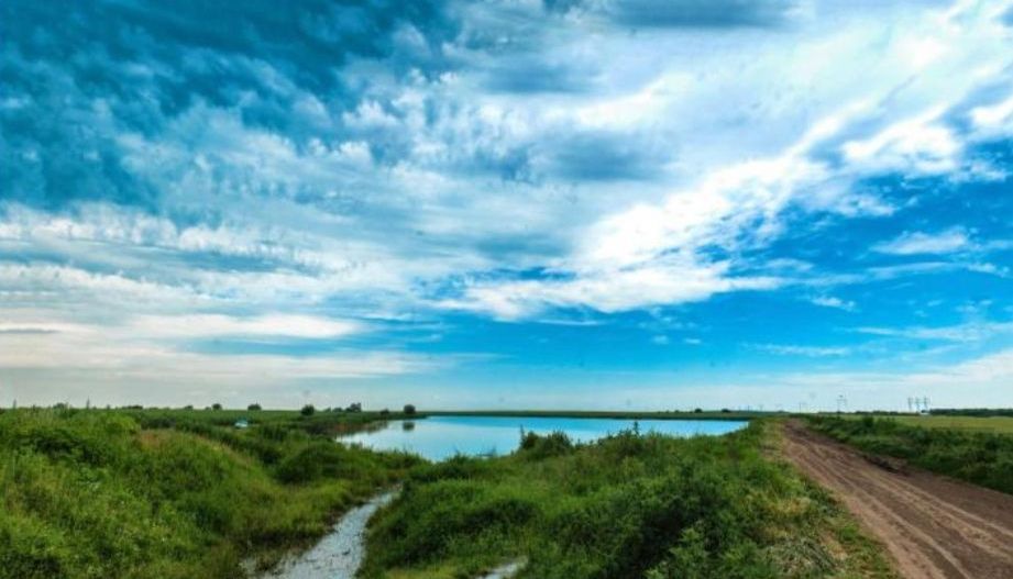 Teren intravilan in comuna Glina - Poză 4