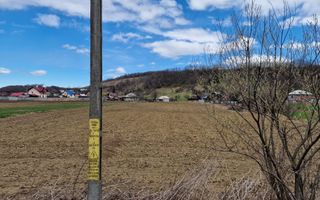 Teren intravilan in Sanduleni/Bacau de vanzare - Poză 10