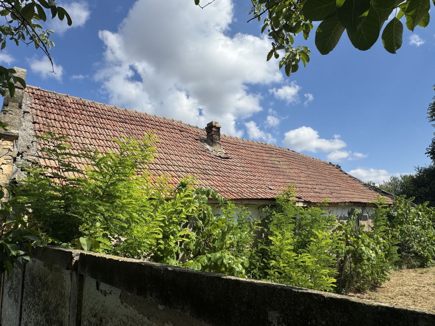 Casa Demolabila Cu Teren 1481 mp In Becicherecu Mic,Vatra Veche,Asfalt,Fs 15m - Poză 3