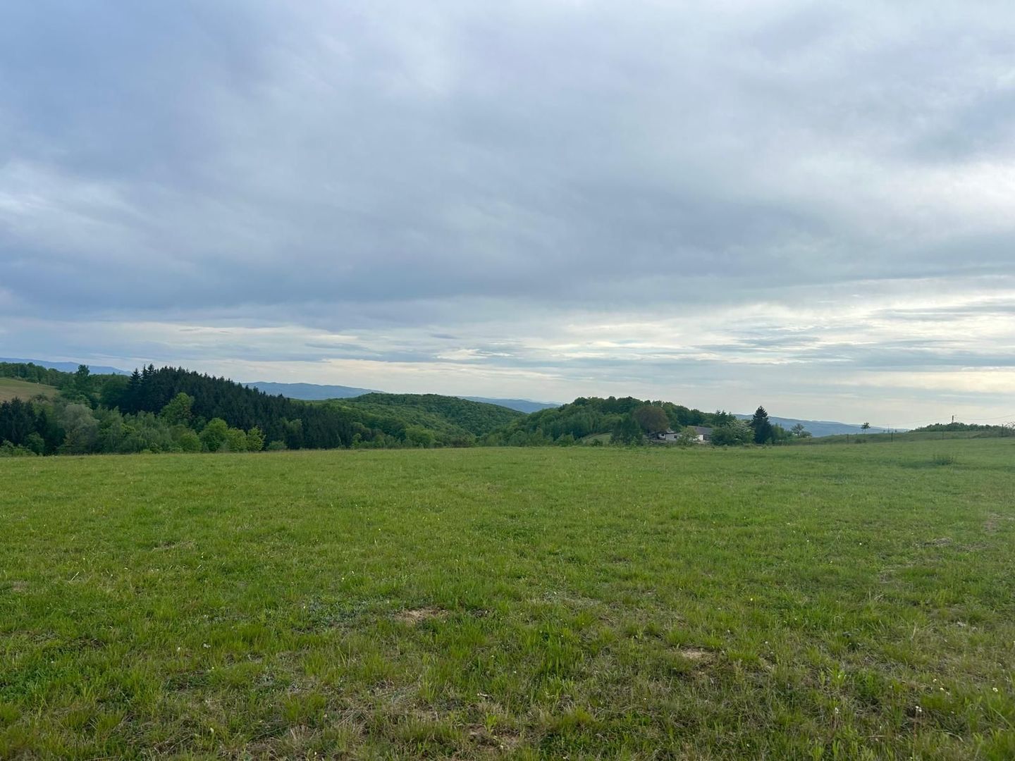 TEREN DE VANZARE IN SINTEU - Poză 2