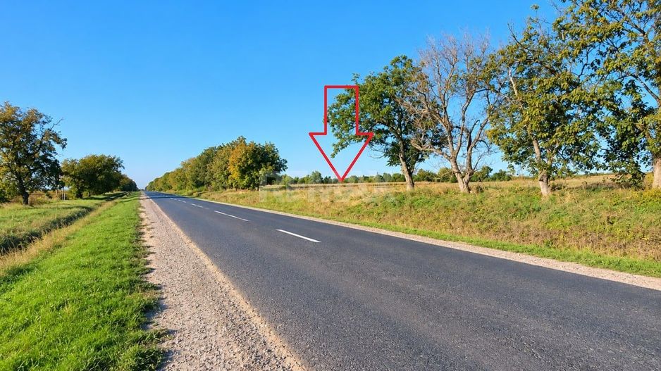 4,85 HA CU DESCHIDERE DE 300 M LA TRASEU | CRIULENI – SLOBOZIA-DUȘCA - Poză 2