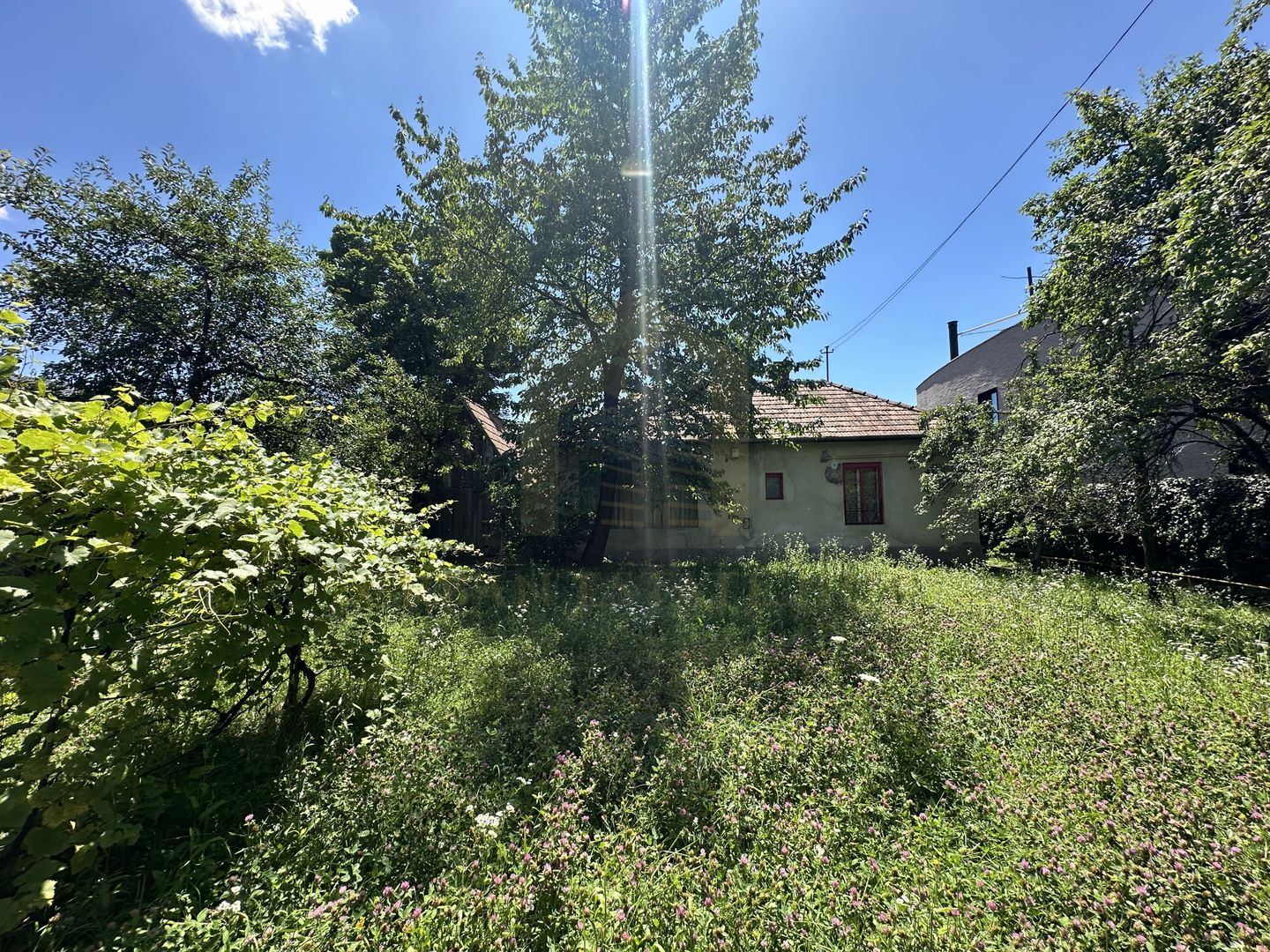 Vanzare teren 2387 mp, front 17,3 ml, Serpuitoare , Gruia - Poză 6