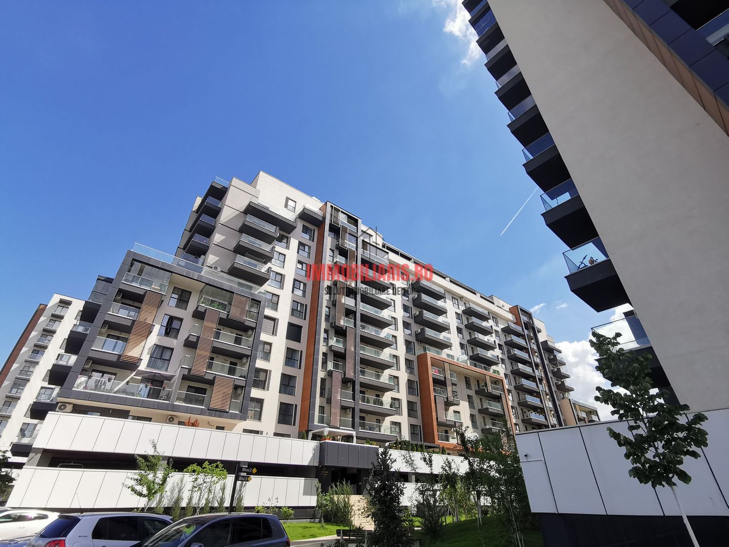 Theodor Pallady, Incalzire Pardoseala, Finisaje la Alegere, Comision 0 - Poză 1