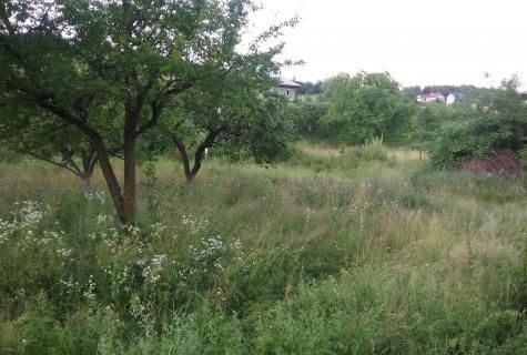 teren intravilan Sangeorz-Bai judet Bistrita Nasaud - Poză 5