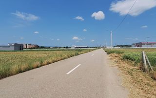 Teren intravilan cu PLANTATIE DE GOJII de vanzare in Racari - Poză 2