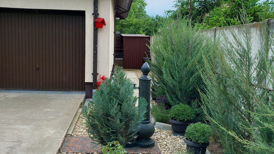 Parter cu structură pentru etaj, curte amenajată și organizare impeca - Poză 21