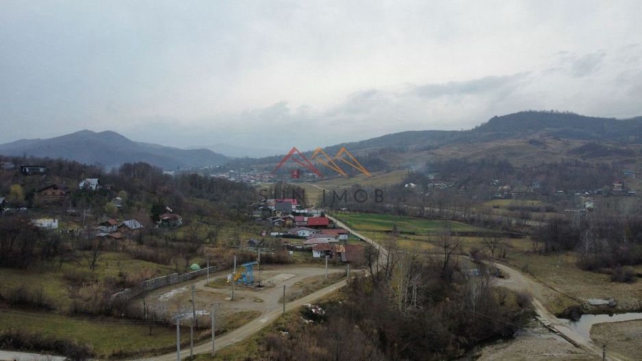 Teren 36000 m2, intravilan+partial extravilan, cadastru, Draganeasa PH - Poză 7