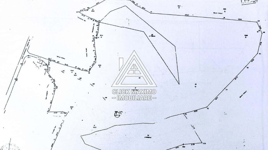 Teren 8 ha cu 15 izvoare minerale, lângă Câmpulung Argeș - Poză 8