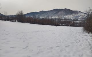 Teren intravilan 2.295 mp, deschidere 60 m – Rășinari, comision 0% - Poză 2