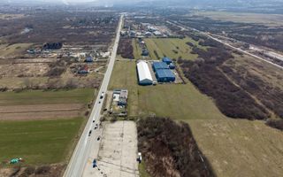 Teren extravilan de 7.000 mp lângă Păltiniș - Poză 17