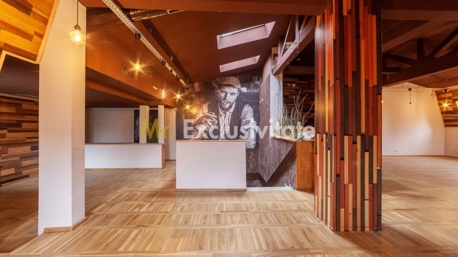 Spatiu comercial premium in vila – Bd. Republicii, Pitesti - Poză 13
